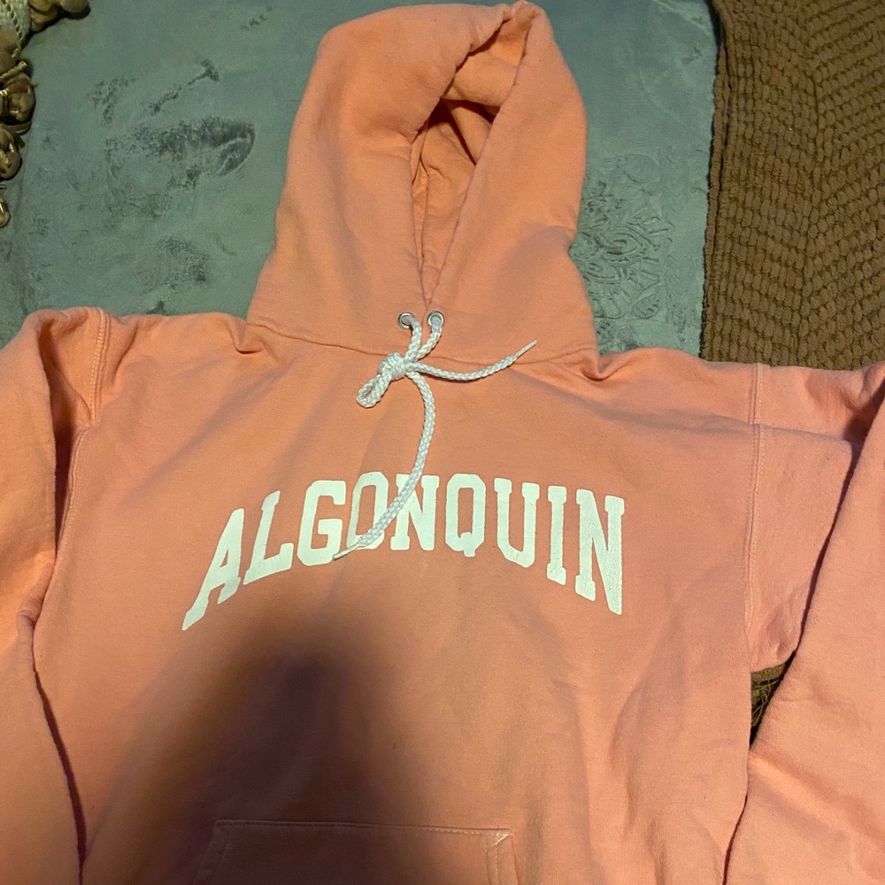 Algonquin hoodie